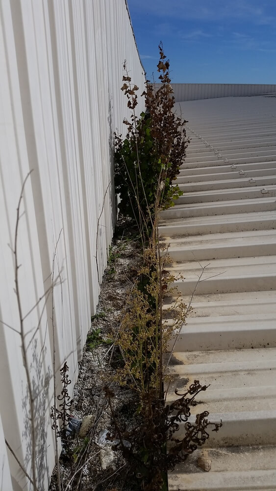 Toiture industrielle acier avant Entretien - Entreprise proche de Montpellier